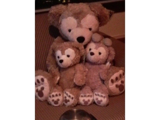 �����f�B�Y�j�[�V�[(R)