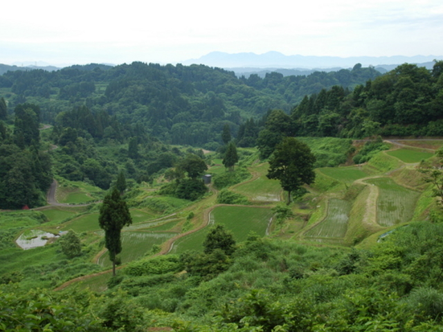 v[񂳂̘aH@̒@̓eʐ^1