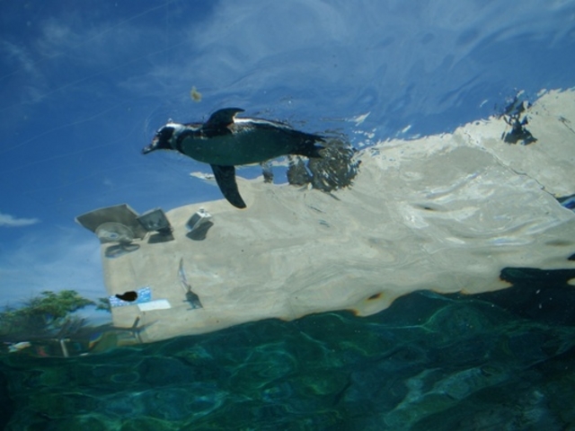 ���R������