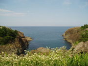 ͂߂݂̂̂gCi퍷CݗVj̓eʐ^1