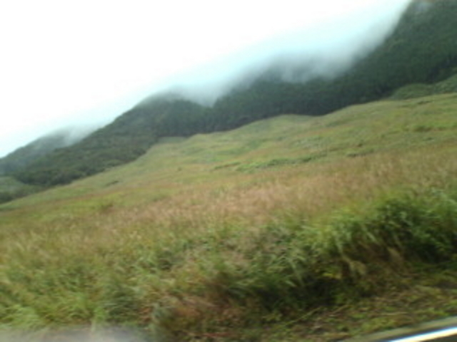 ��Ό�����