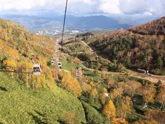 ҂񂳂̑ÔRւ̓eʐ^1