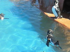 Ȃ݂Ȃ݂̓mr[`h&mቤւ̓eʐ^1