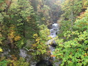 ݂݂񂳂̊勬̓eʐ^1