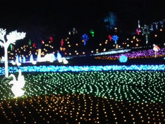 �����h�C�c��