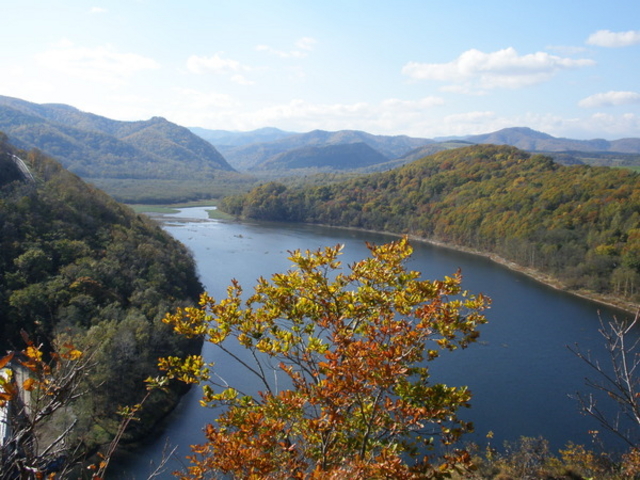 ܁[񂳂̗Y̏oLv̓eʐ^1