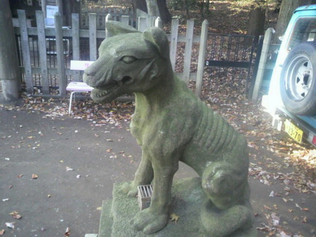 ��o�R�_��