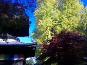 񂳂f̑傢傤̓eʐ^1