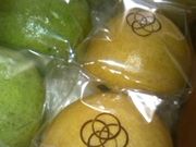 hibiki3̐ΏM@{X̓eʐ^1