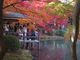 獅子次郎さんの京都府立植物園への投稿写真2