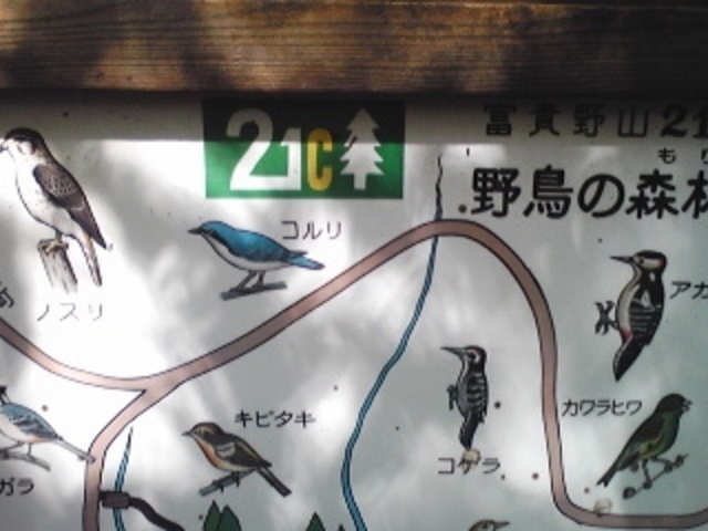 ߂̕xMRQPI̐X̓eʐ^1