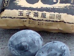 ���Ƃ��Ƃ���̋ʎq�����ւ̓��e�ʐ^1