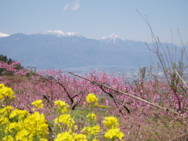 ��⒬�̓��̉�