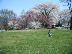 �ɍ��ۃO���[���q��̎ʐ^1