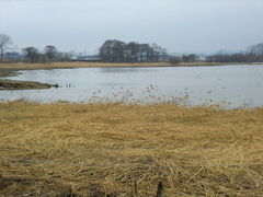 �{�����̎ʐ^1