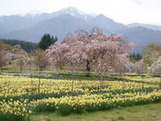 �����l����̎R���_����̓��e�ʐ^1