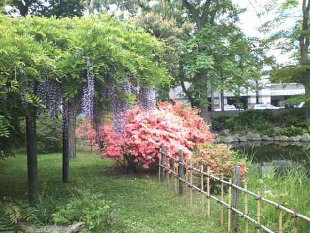 �k�C����w�A����