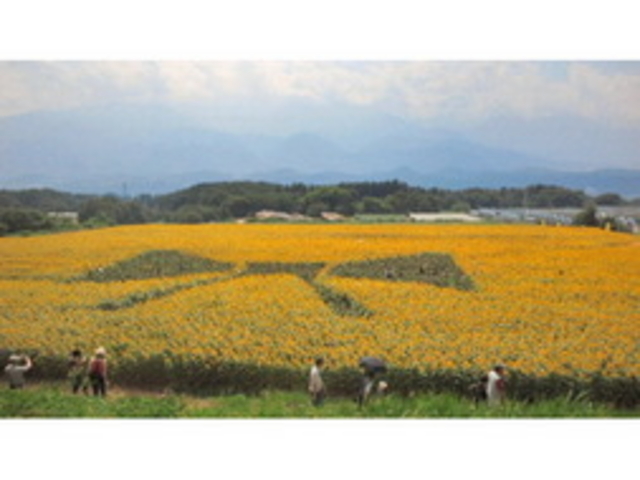 �n�C�W�̑��@�N������