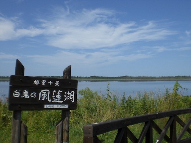 ���̉w �X�����S�S�˂ނ�