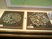 }[̑哒Xg[T[Nق̓eʐ^1