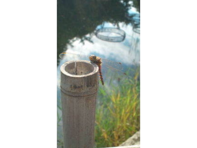 �k�C����w�A����