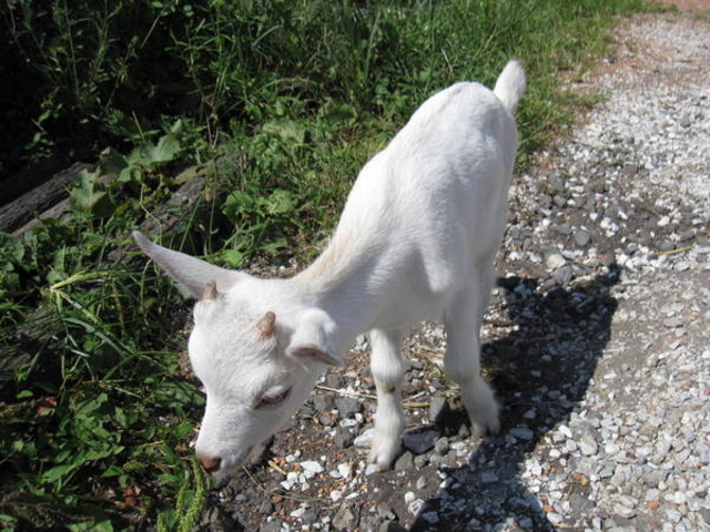 �x�m�~���N�����h