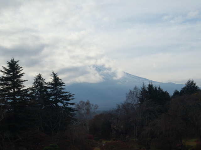 �x�m�r���[�z�e��