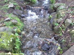 ݂邳̂Ώ@Oւ̓eʐ^1