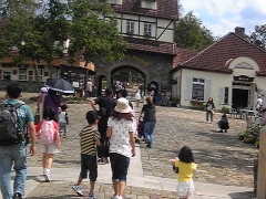 ����_�ƌ����u���[���̋u�̎ʐ^1