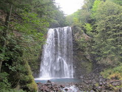 ۂ񂱂̑PܘY̑ւ̓eʐ^1