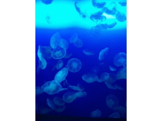 �V�]�m��������