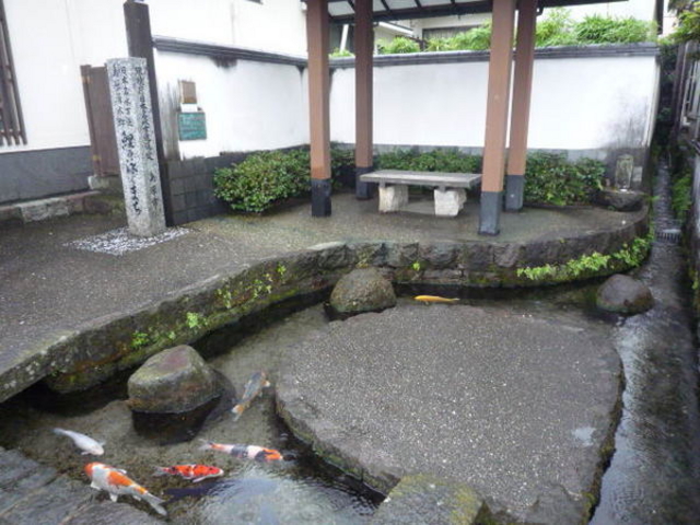 ��̉j���܂�