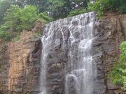 ۂ񂳂̃Iz[cN뉀̓eʐ^1