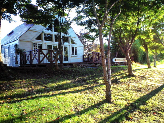 win1̃XgJtFPartita̓eʐ^1