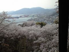 正福寺山公園 アクセス 営業時間 料金情報 じゃらんnet