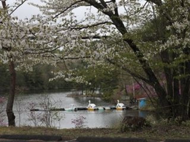 tamo.nagoya̍̏΂̓eʐ^1