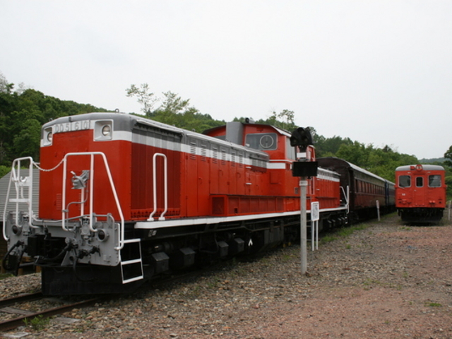 �O�}�S���L�O��