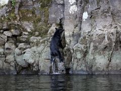 satosatõOhւ̓eʐ^1