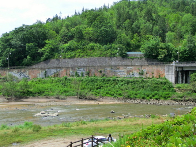 ܂񁙂񂳂̌e̗ ΂̓eʐ^1