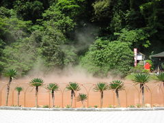 ܂񁙂񂳂̌̒rnւ̓eʐ^1