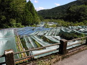 _ChKXg̔̂킳ѓc̓eʐ^1