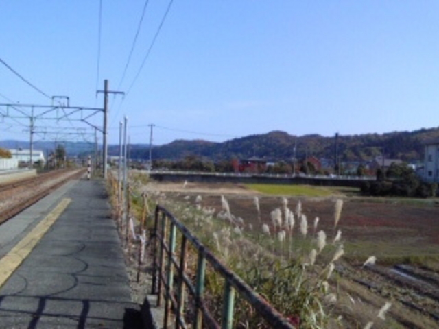 �ۓ������M�ѐA��������