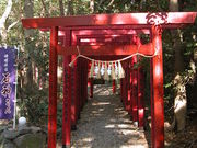 ondori̐__ЂƐΐ_̓eʐ^1