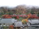 まるぐりっとさんの日光山　輪王寺への投稿写真2