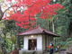 Mie(みぃ)さんの聖宝寺への投稿写真2