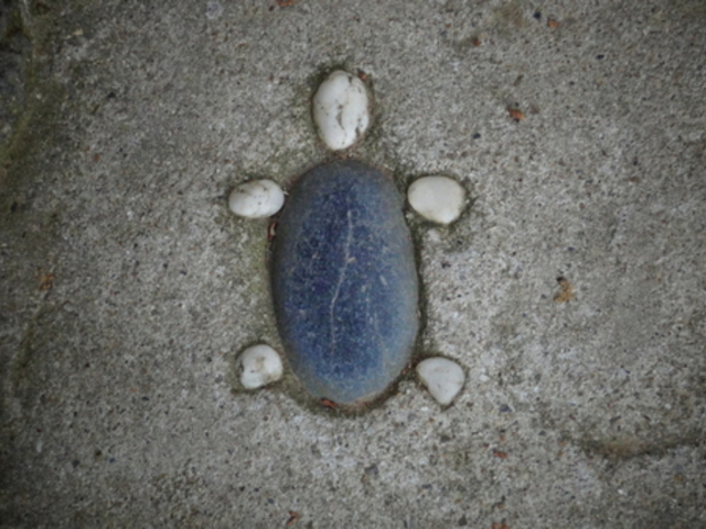 ����������