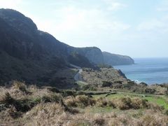 maneki̐TZbgEFCւ̓eʐ^1