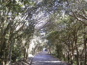 N}̊Ǘl̈ɓ哇̒ւ̓eʐ^1