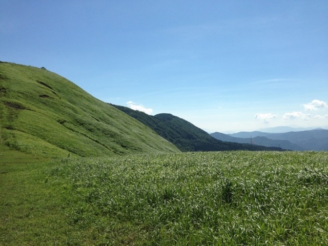 ���X���������v�w����̃n�`�����̓��e�ʐ^1