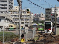 maneki̒dCOi̘Hʓdԁjւ̓eʐ^1